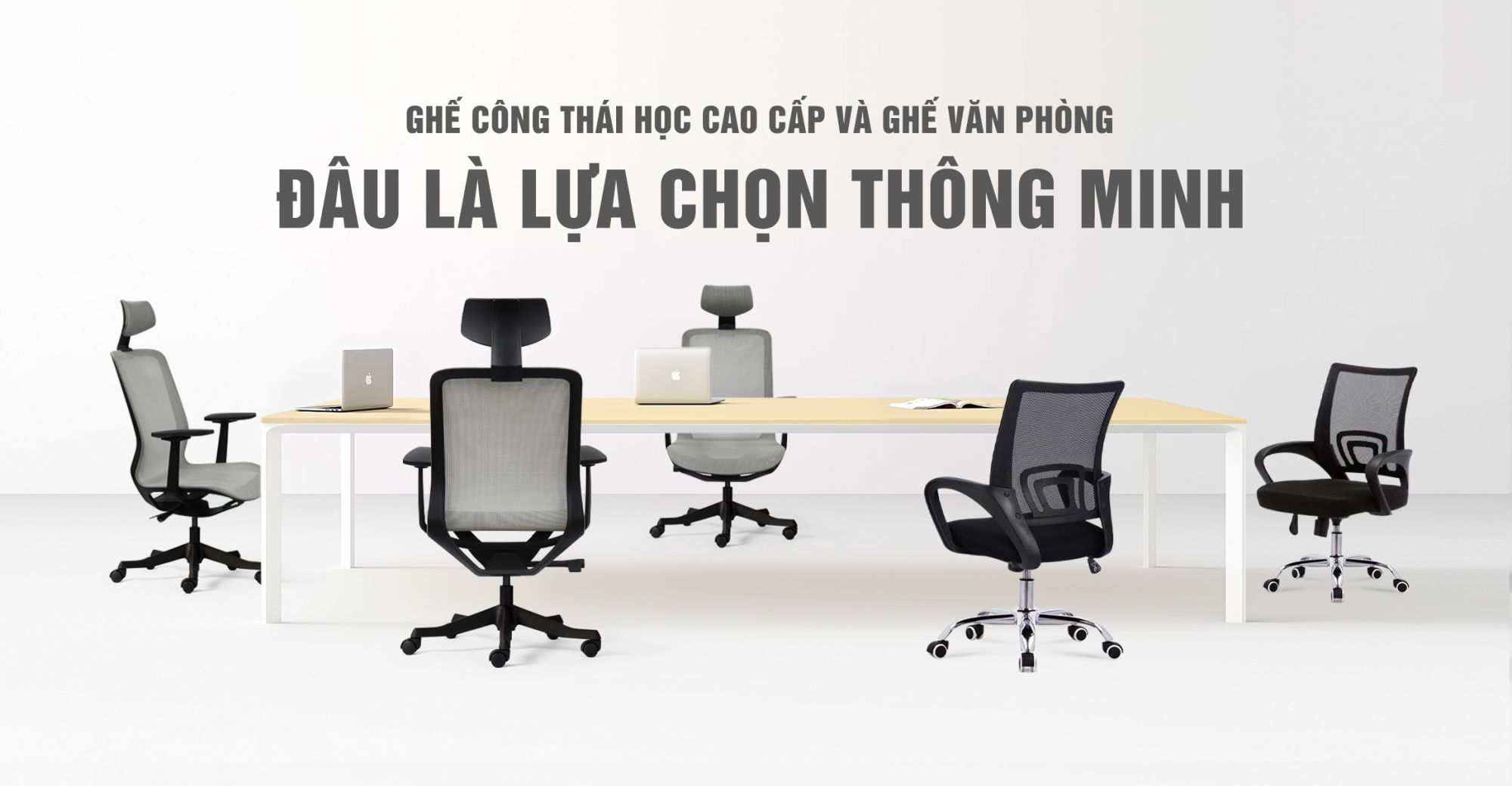 Premium Ergonomic Chair vs. Standard Office Chair: Which Is the Smarter Choice?