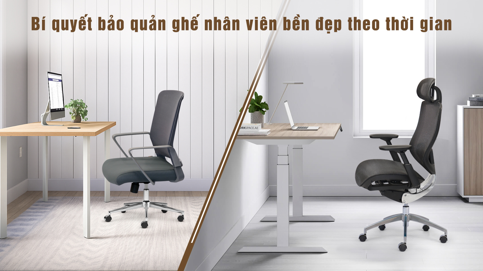 Bí Quyết Bảo Quản Ghế Nhân Viên Bền Đẹp, Checklist Chuẩn HR